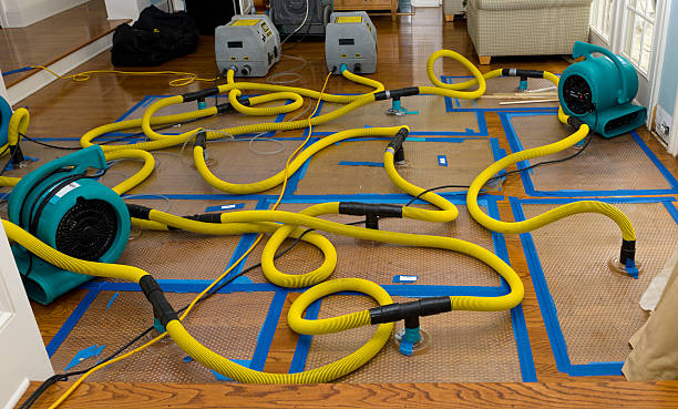 Professional Sewage Cleanup technician working in Lenox, TN